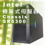 IntelChassis SR5300 